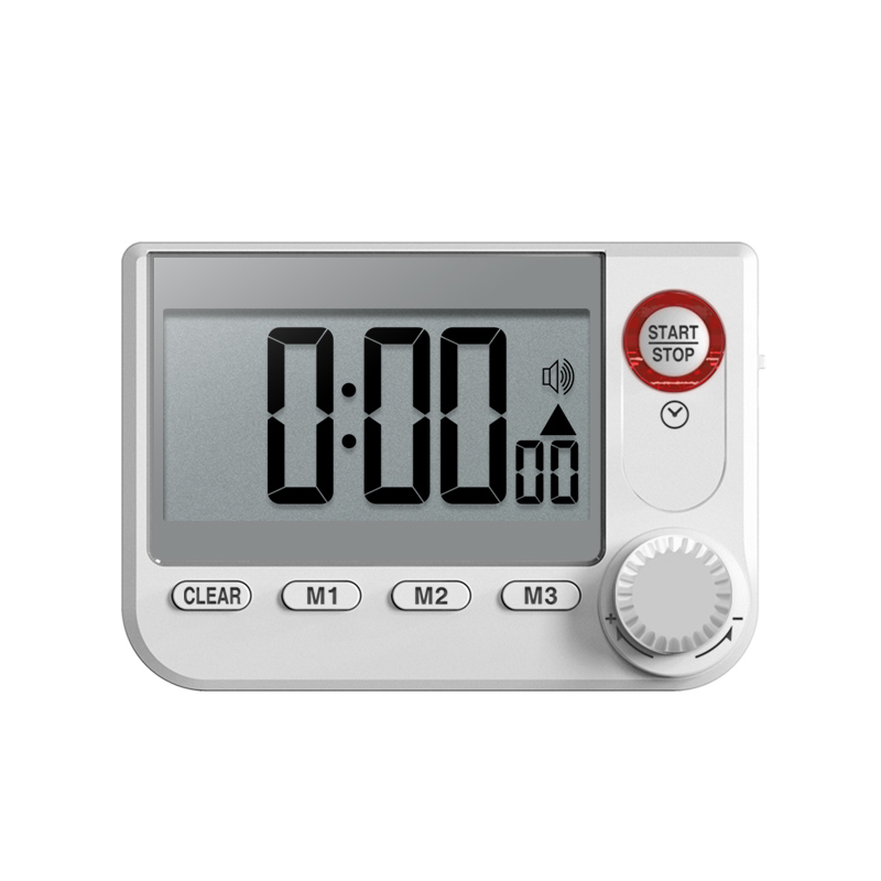 Timer – CCL Electronics Ltd